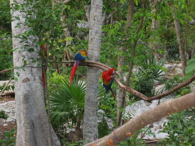 Bird park