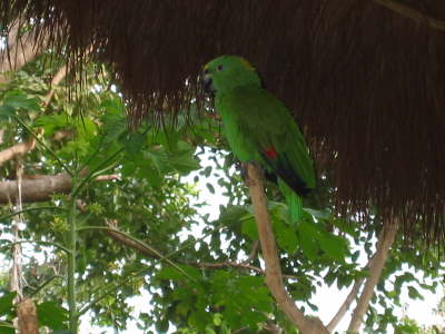 Bird park2