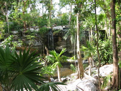 Bird park3