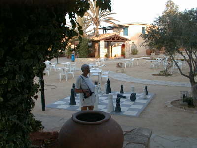 Chess