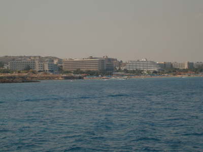 Fig tree bay