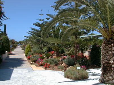 Garden2