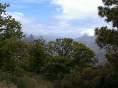 Mountains