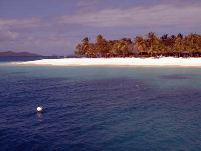 Palm Island - GI
