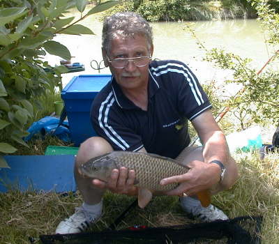 Ray & Fish