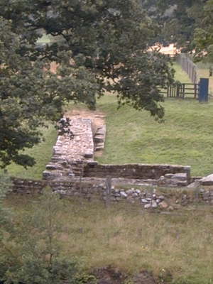 The Wall
