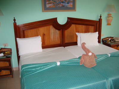 bed