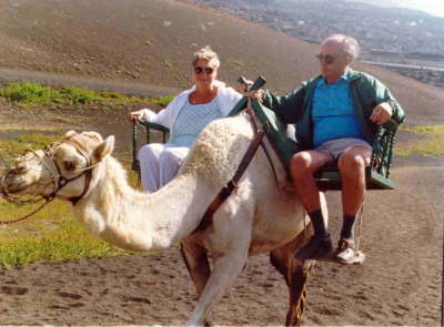 camel
