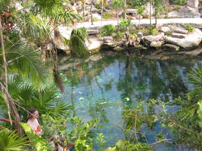 pond